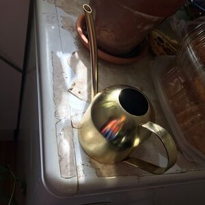 Elegant Gold Watering Can